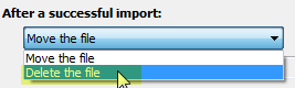 delete the file after import generic file