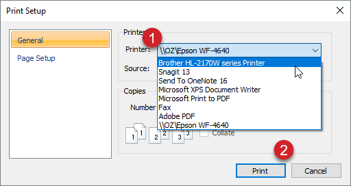 select the printer then click print