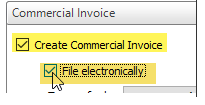 file electronically checkbox