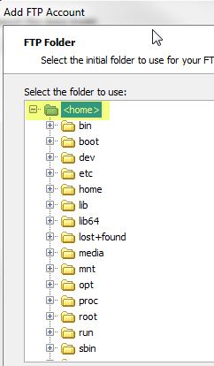 selecting the ftp home directory generic file setup