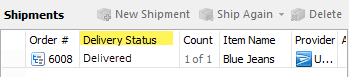 The delivery status column is displayed in the shipments panel of the ship orders screen.